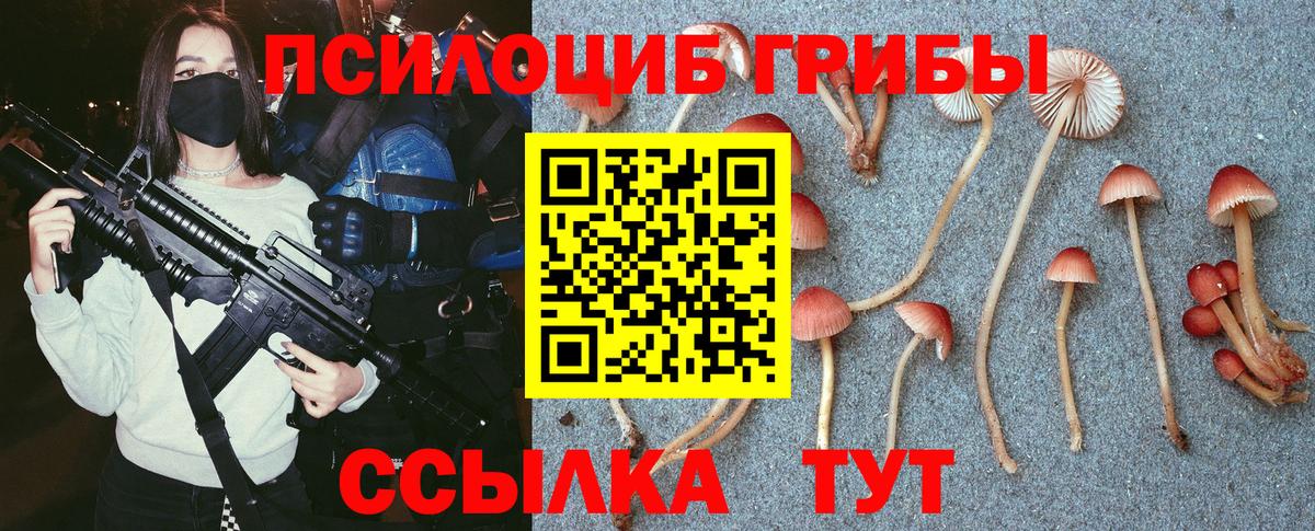 Галлюциногенные грибы Magic Shrooms Чернушка