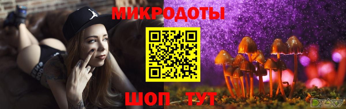 Чернушка  Псилоцибиновые грибы Magic Shrooms  купить наркоту  Вход с VPN 