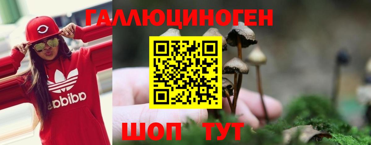 Галлюциногенные грибы MAGIC MUSHROOMS Чернушка