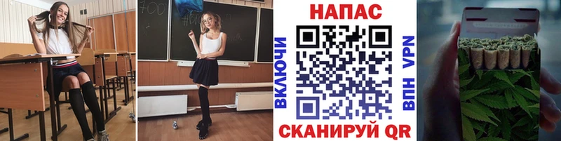 Шишки марихуана тримм  kraken как войти  Чернушка 